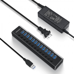 Rosonway Aluminum 13 Port Powered USB 3.0 Hub with 72W (12V/6A) Power Adapter and Individual On/Off Switches (RSH-A13-5)