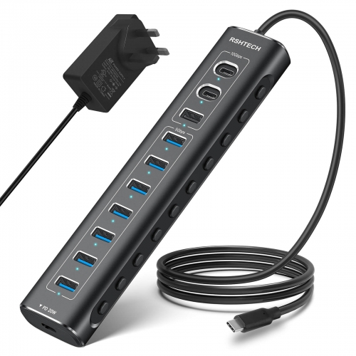 11-Port Powered USB C Hub with 2 10Gbps USB-C Port, 10Gbps USB-A Data Port, 20W PD and 7 USB 3.0 Port (60W, RSH-A11PD)